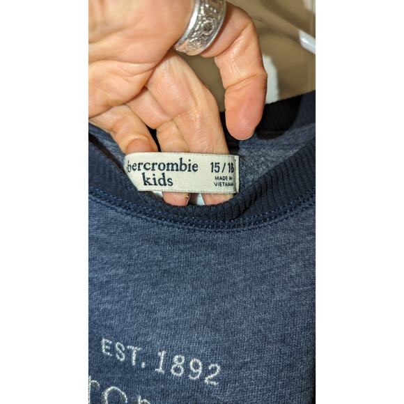Abercrombie and Fitch Abercrombie Kids Grey Sweatshirt size 15/16 - Picture 5 of 6